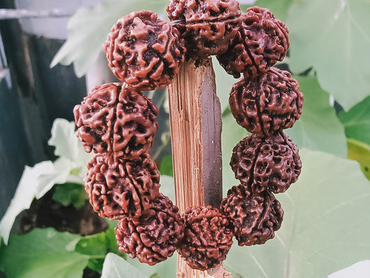 Nepali 5 Mukhi Rudraksha Bracelet - Lab Certified, Shiva Armlet, Spiritual Gifts, Five Faced Rudraksha Bracelet, Handmade Armlet