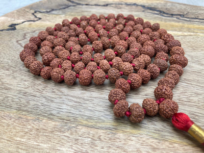 Rare Big Seven Mukhi Rudraksha Mala, Lab certified, Seven Face Rudraksha Mala, Natural Undyed 14mm, 7 Mukhi Mala Bead, 7 Face Rudraksha Mala