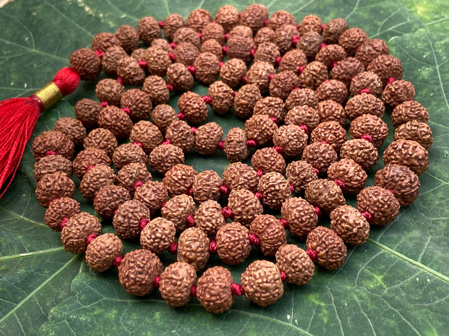Rare Big Seven Mukhi Rudraksha Mala, Lab certified, Seven Face Rudraksha Mala, Natural Undyed 14mm, 7 Mukhi Mala Bead, 7 Face Rudraksha Mala