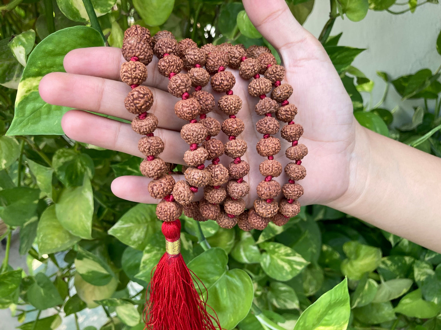 Rare Big Seven Mukhi Rudraksha Mala, Lab certified, Seven Face Rudraksha Mala, Natural Undyed 14mm, 7 Mukhi Mala Bead, 7 Face Rudraksha Mala