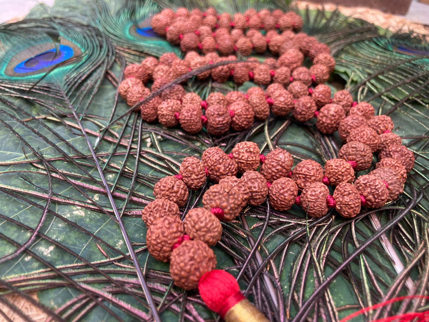 Rare Big Seven Mukhi Rudraksha Mala, Lab certified, Seven Face Rudraksha Mala, Natural Undyed 14mm, 7 Mukhi Mala Bead, 7 Face Rudraksha Mala