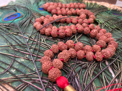 Rare Big Seven Mukhi Rudraksha Mala, Lab certified, Seven Face Rudraksha Mala, Natural Undyed 14mm, 7 Mukhi Mala Bead, 7 Face Rudraksha Mala