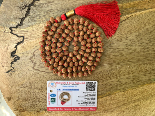 Small Sized 9 Mukhi Rudraksha Mala - Lab Certified, 9 Mukhi Rudraksha Necklace, Yoga Gifts, Statement Necklace, Gift For Yoga Lover