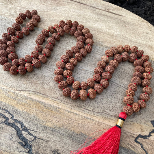 Rare Big  8 Mukhi Rudraksha Mala, 108 Mala Beads, 8 Mukhi Rudraksha Necklace, Prayer Mala, Meditation Mala