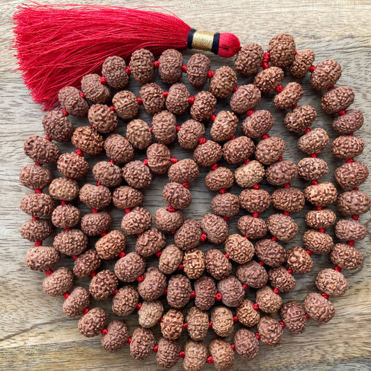 Rare Big  8 Mukhi Rudraksha Mala, 108 Mala Beads, 8 Mukhi Rudraksha Necklace, Prayer Mala, Meditation Mala