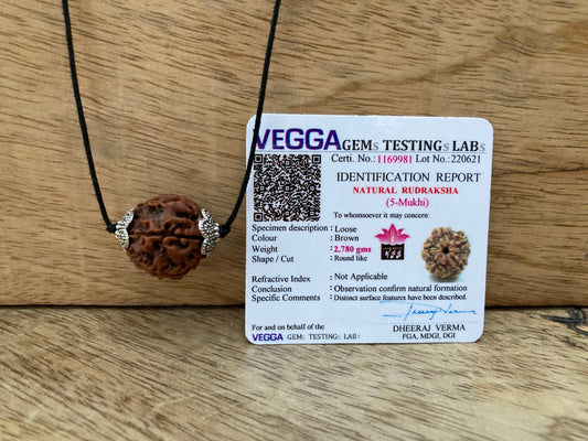 5 Mukhi Nepal Rudraksha Pendant-Lab Certified in Metal caping, Shiva Pendant, Spiritual Gifts, Yoga Pendant, Five Faced Rudraksha Pendant