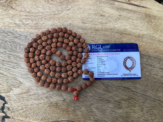 Rudraksha Mala Necklace 8-9 mm 108 Prayer Beads, Knotted Rudraksha Necklace, India Shiva Mala, Yoga Meditation Rosary, Buddhist Tibetan Mala
