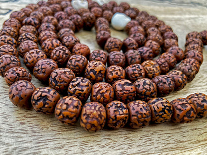 108 Natural Aged Dark Brown Rudraksha Seed Mala Prayer Beads with  Bone Skull Beads, Sacred Rudraksha Japa Mala, Meditation Mala Rosary