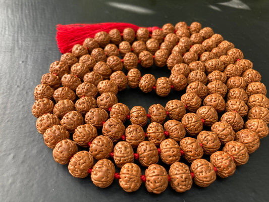 Pathri Rudraksha Lab Certified, 13 mm Indonesian Chikna Rudraksha Mala, Chikna Rudraksha, Chikna Mala, Pathri Rudraksha Mala, Pathari Beads