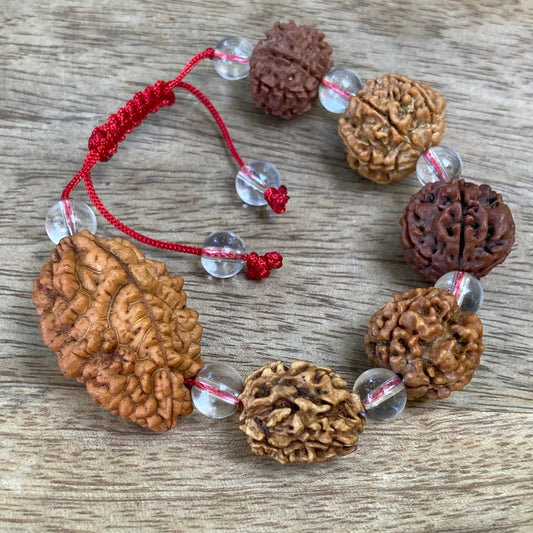 Rudraksha 2 3 4 5 6 7 mukhi (Faces) Bracelet, Rudraksha bracelet, Sphatik Bracelet, Meditation Bracelet, Yoga Jewellery