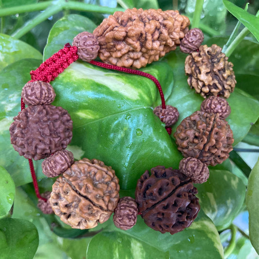 Rudraksha 2 3 4 5 6 7 Mukhi (Face) Beads Mala Wrist Band Bracelet For Men and Women, Rudraksha Bracelet, Shiva armlet.