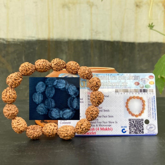 4 mukhi Rudraksha Bracelet, 4 face Rudraksha Bracelet, Genuine Rudraksha Beads, XRAY Certified Four Face Shiva Rudraksh Wristlet