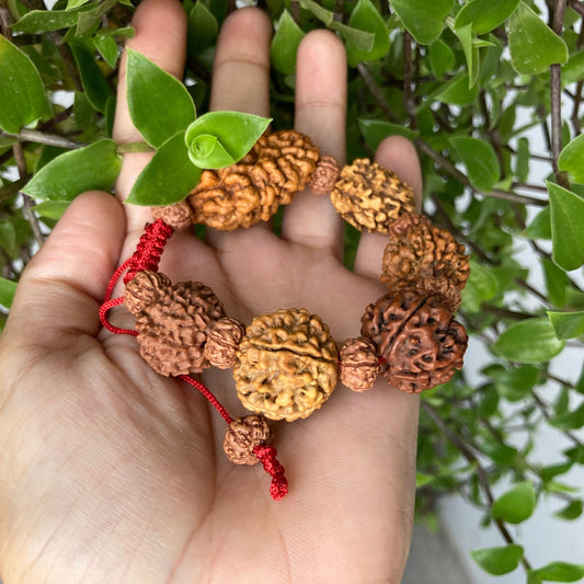 Rudraksha 2 3 4 5 6 7 Mukhi (Face) Beads Mala Wrist Band Bracelet For Men and Women, Rudraksha Bracelet, Shiva armlet.