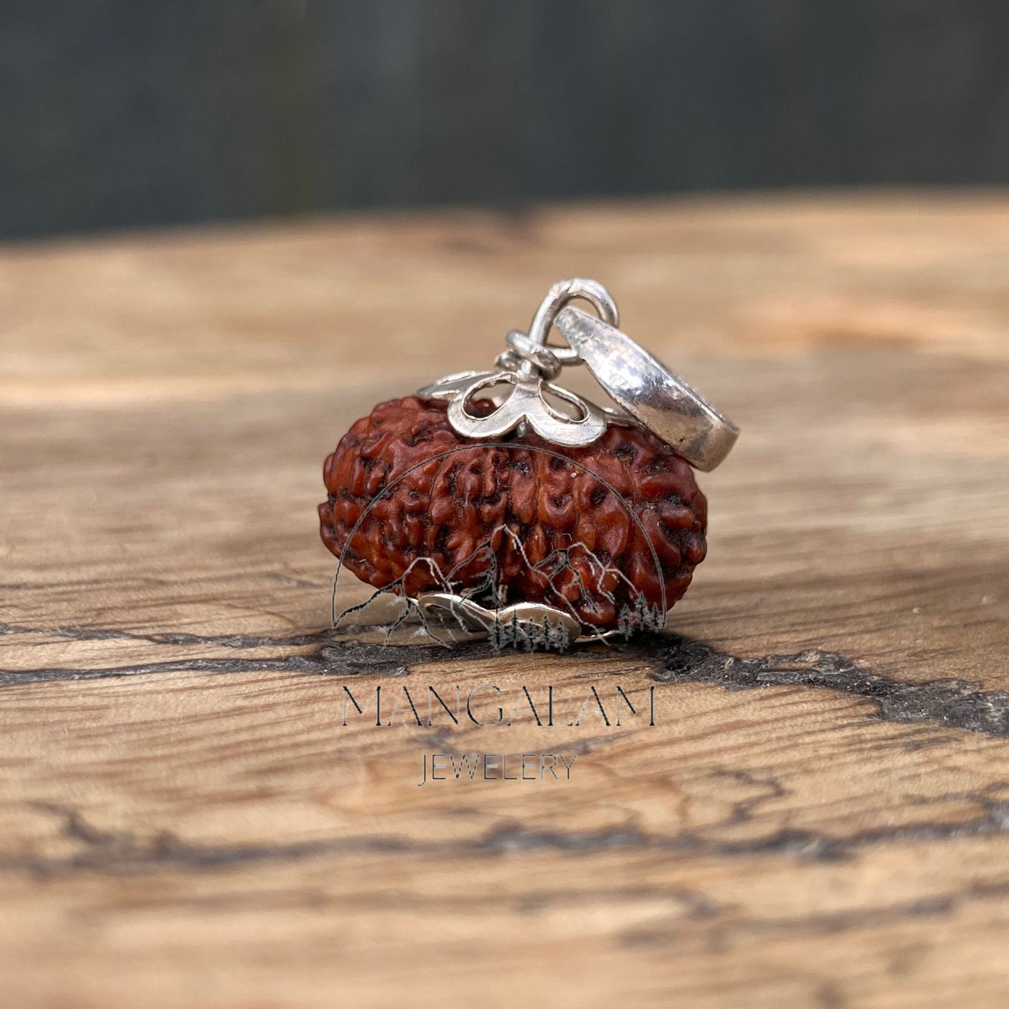 17 Mukhi Rudraksha Pendent, 17 Mukhi Rudraksha, Seventeen Faces Rurraksha, Rudraksha Pendent