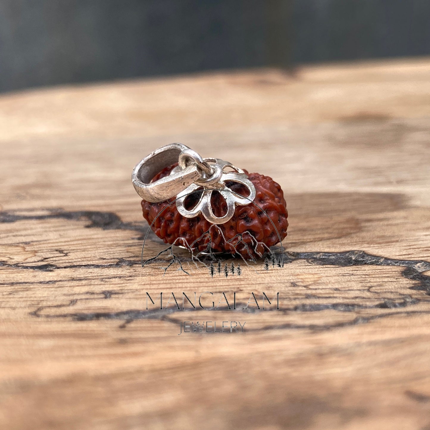 17 Mukhi Rudraksha Pendent, 17 Mukhi Rudraksha, Seventeen Faces Rurraksha, Rudraksha Pendent