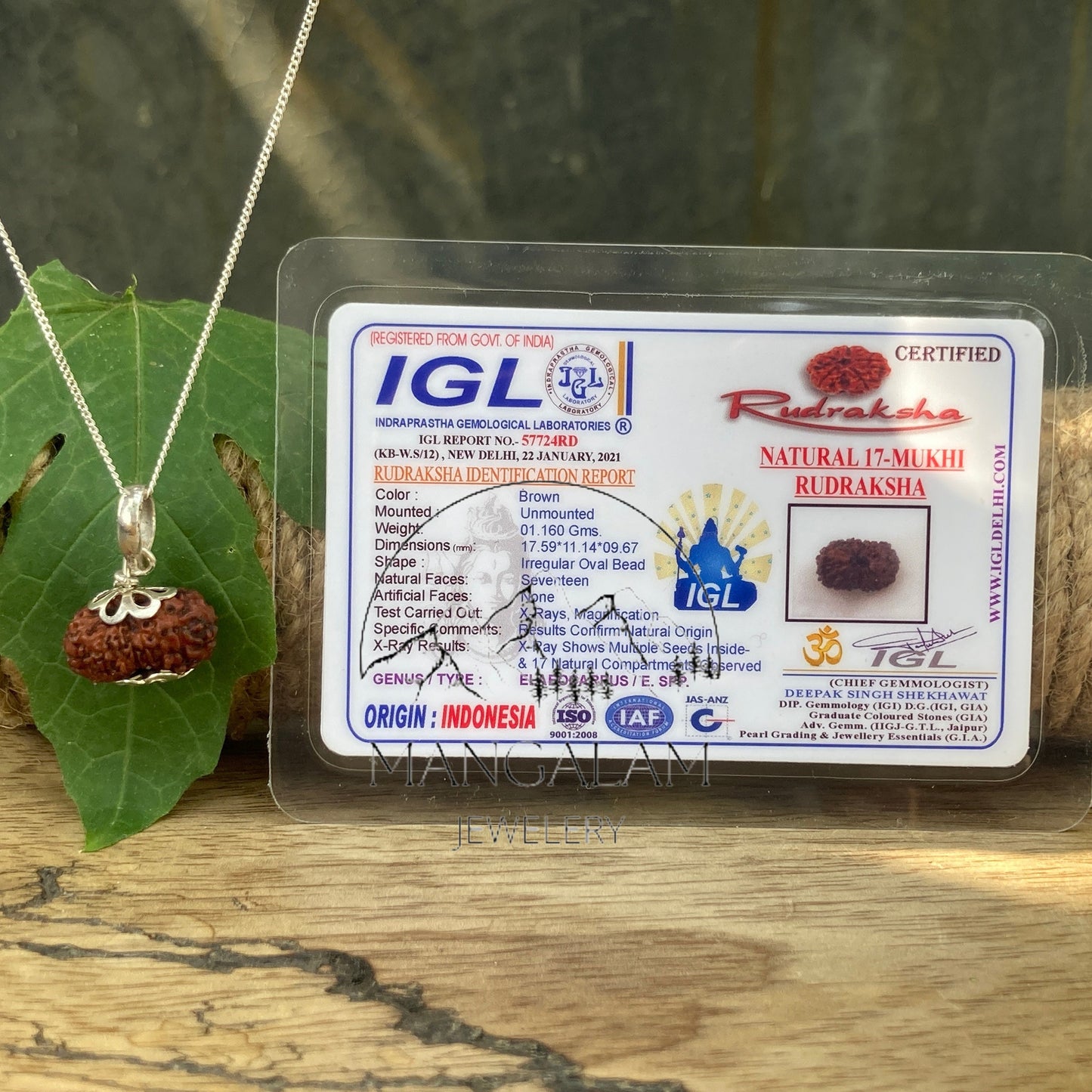 17 Mukhi Rudraksha Pendent, 17 Mukhi Rudraksha, Seventeen Faces Rurraksha, Rudraksha Pendent