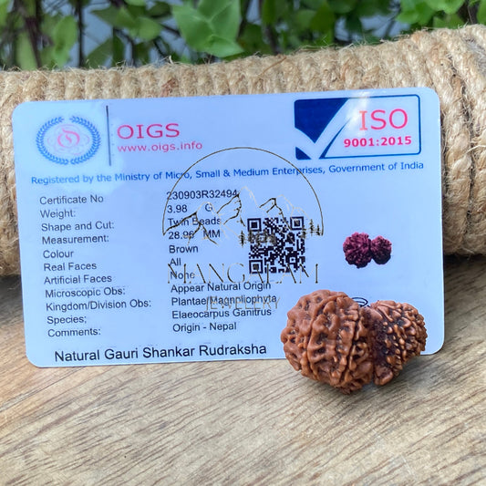 Nepalase Gauri Shankar Rudraksha Bead - Lab Certified • Gauri Shankar Rudraksha Seed From Nepal, Yoga Gifts, Nepalese Rudraksha