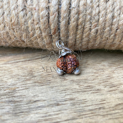 Indonasian Gauri Shankar Rudraksha Bead - Lab Certified • Gauri Shankar Rudraksha Seed From Indonasia, Yoga Gifts, Indonasian Rudraksha