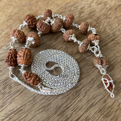 Siddha Mala 1 - 14 Mukhi , Gauri Shankar , Ganesh Rudraksha Rudraksh in Silver Lab Certified
