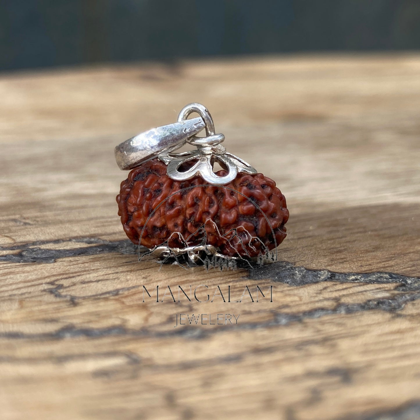 17 Mukhi Rudraksha Pendent, 17 Mukhi Rudraksha, Seventeen Faces Rurraksha, Rudraksha Pendent