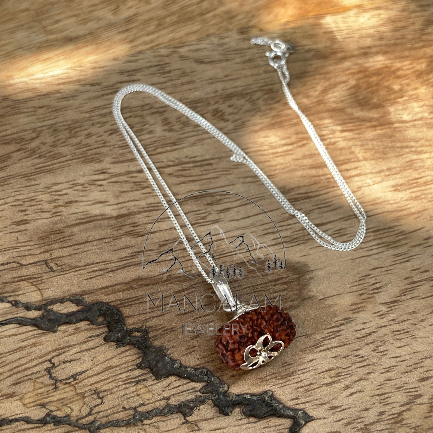 17 Mukhi Rudraksha Pendent, 17 Mukhi Rudraksha, Seventeen Faces Rurraksha, Rudraksha Pendent