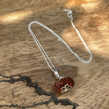 17 Mukhi Rudraksha Pendent, 17 Mukhi Rudraksha, Seventeen Faces Rurraksha, Rudraksha Pendent