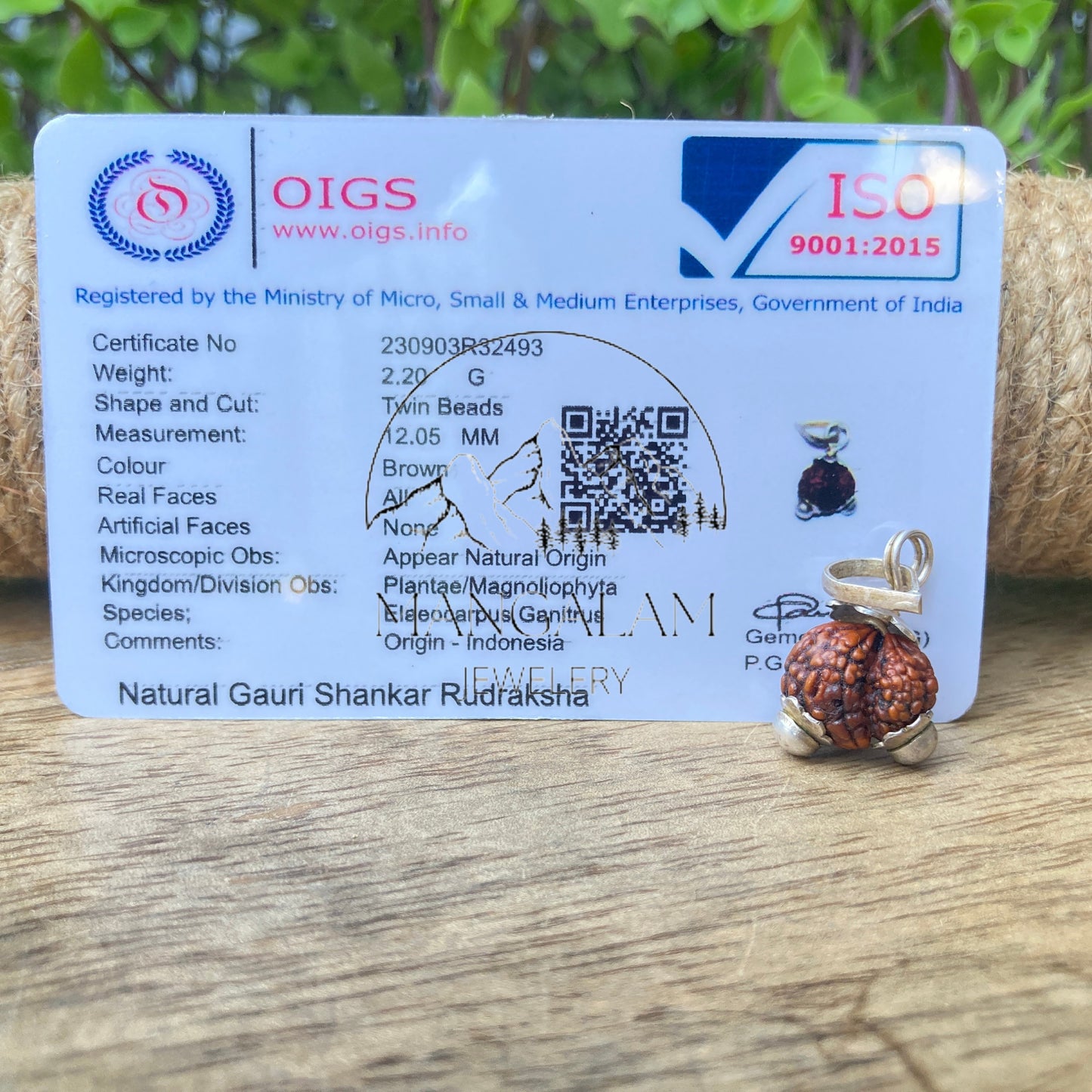 Indonasian Gauri Shankar Rudraksha Bead - Lab Certified • Gauri Shankar Rudraksha Seed From Indonasia, Yoga Gifts, Indonasian Rudraksha