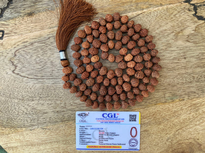 Lord Hanuman Mala, 11 Mukhi Rudraksha Lab Certified Mala ,11 Mukhi Rudraksha Necklace, Yoga Gifts