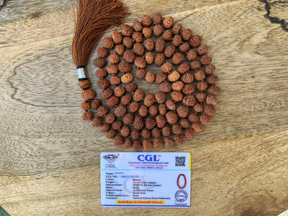 Lord Hanuman Mala, 11 Mukhi Rudraksha Lab Certified Mala ,11 Mukhi Rudraksha Necklace, Yoga Gifts