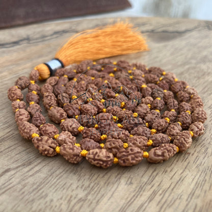 2 Mukhi Rudraksha Mala Beads-Lab Certified, 2 Mukhi Rudraksha Necklace, Two face Rudraksha, 2 Mukhi 108 Rudraksha Japa Mala, Yoga Gifts
