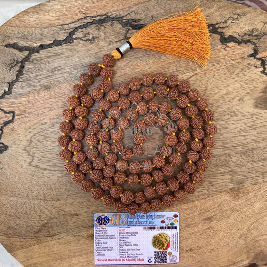 Rare Natural Undyed Six Faced Mala, 6 Mukhi Mala, 6 Mukhi Rudraksha Mala,6 faced Rudraksha mala