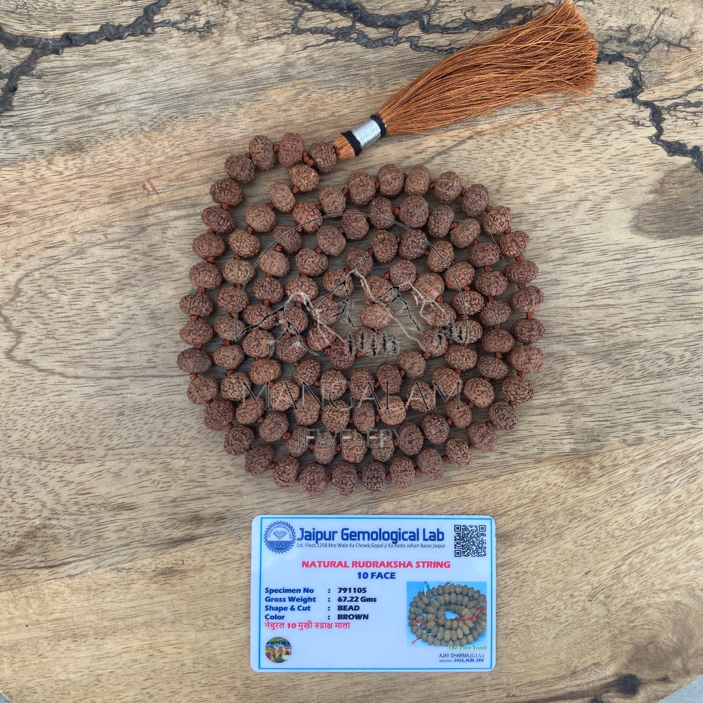 10 Mukhi Rudraksha Mala -Lab Certified, 108 Mala Beads, 10 Mukhi Rudraksha Necklace, Spiritual Gifts, Statement Necklace, Meditation Mala
