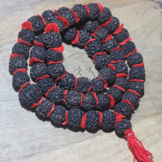 Nepali 5 Mukhi Black Rudraksha Kantha 54 Beads Mala Necklace, Large Rudraksha Seed Beads, Rudraksha Kantha Mala, Seed Prayer Mala, Gifts