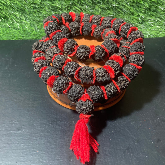 Nepali 5 Mukhi Black Rudraksha Kantha 54 Beads Mala Necklace, Large Rudraksha Seed Beads, Rudraksha Kantha Mala, Seed Prayer Mala, Gifts