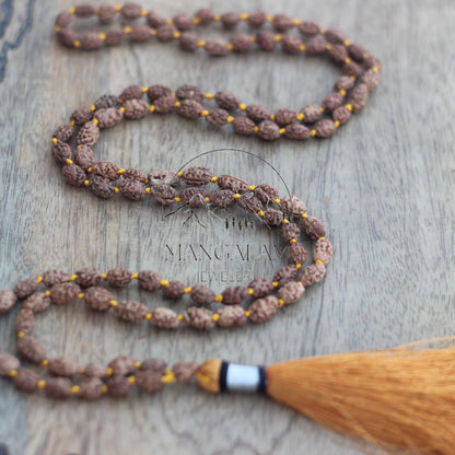 2 Mukhi Rudraksha Mala Beads-Lab Certified, 2 Mukhi Rudraksha Necklace, Two face Rudraksha, 2 Mukhi 108 Rudraksha Japa Mala, Yoga Gifts