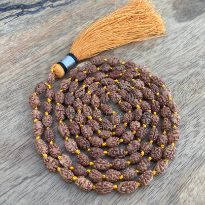 2 Mukhi Rudraksha Mala Beads-Lab Certified, 2 Mukhi Rudraksha Necklace, Two face Rudraksha, 2 Mukhi 108 Rudraksha Japa Mala, Yoga Gifts