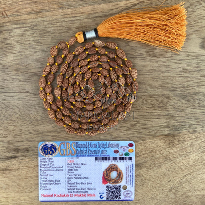 2 Mukhi Rudraksha Mala Beads-Lab Certified, 2 Mukhi Rudraksha Necklace, Two face Rudraksha, 2 Mukhi 108 Rudraksha Japa Mala, Yoga Gifts