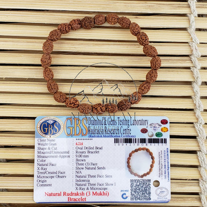 3 Mukhi Rudraksha Bracelet - Lab Certified, Shiva Bracelet, Three Faced Rudraksha Armlet, Handmade Jewelry