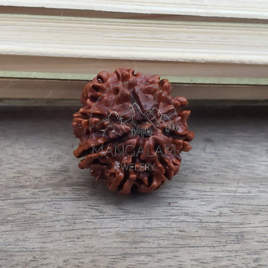 8 Mukhi Nepal Rudraksha /Eight Face/ Lord Ganesh In 925 Silver Sterling Pendant, Shiva prayer Healing - Protection - Natural Rudraksha