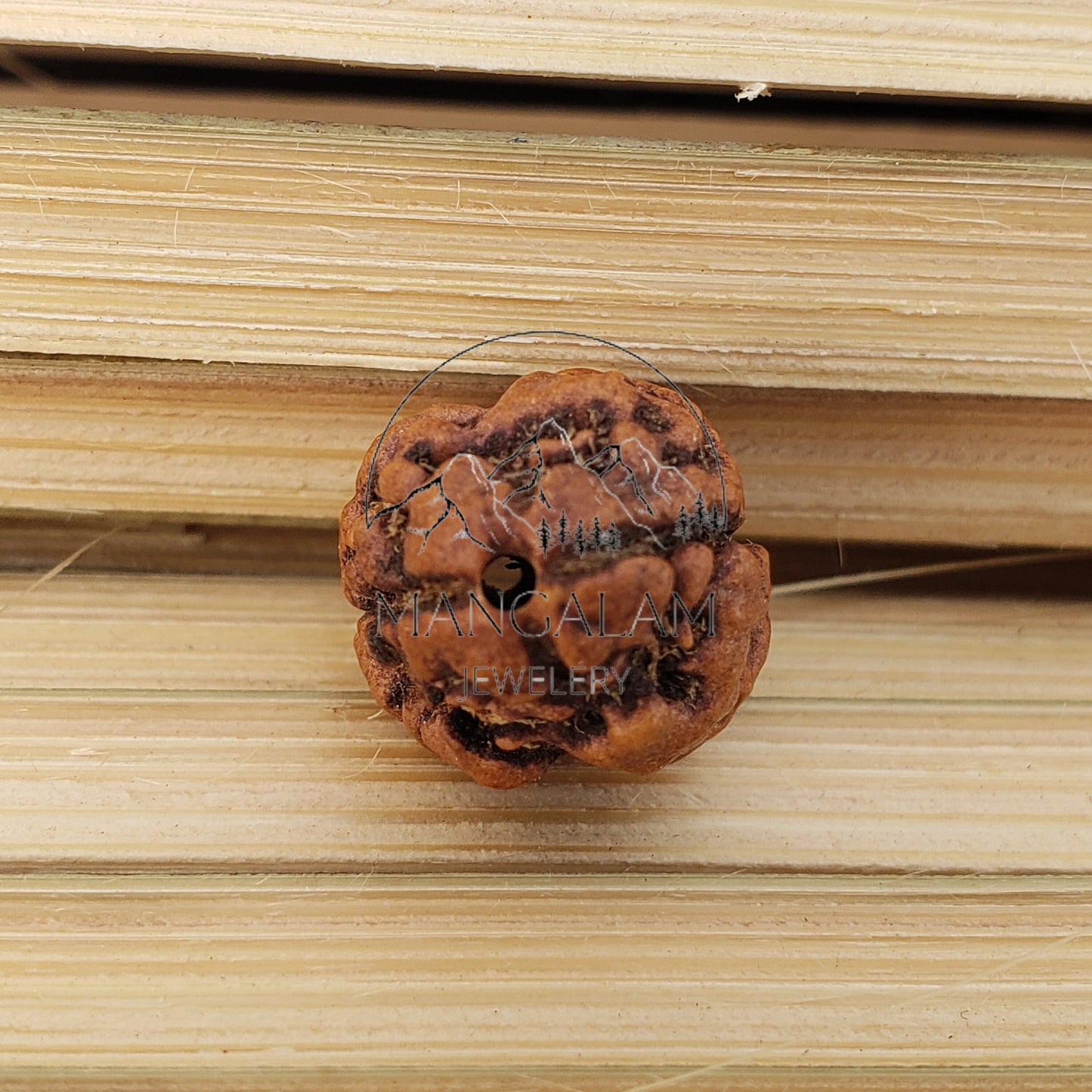 2 Mukhi Nepali rudraksha, Two Faces Rudraksha Orignal Rudraksha, Lord Shiva Tears, Lab Certified Rudraksha