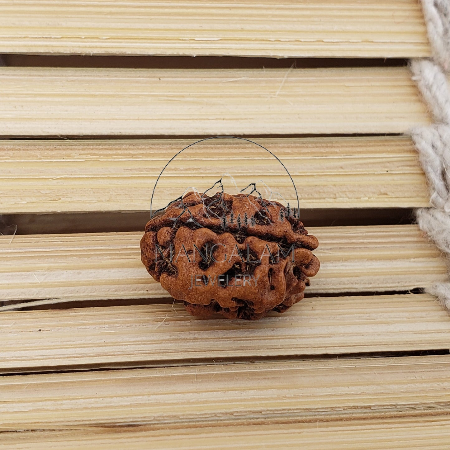 2 Mukhi Nepali rudraksha, Two Faces Rudraksha Orignal Rudraksha, Lord Shiva Tears, Lab Certified Rudraksha