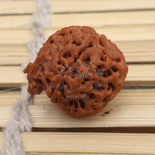 4 Mukhi Nepalese Ganesh Rudraksha Bead -Lab Certified, Spiritual Gifts, Four Faced Rudraksha Seed, Sacred Bead