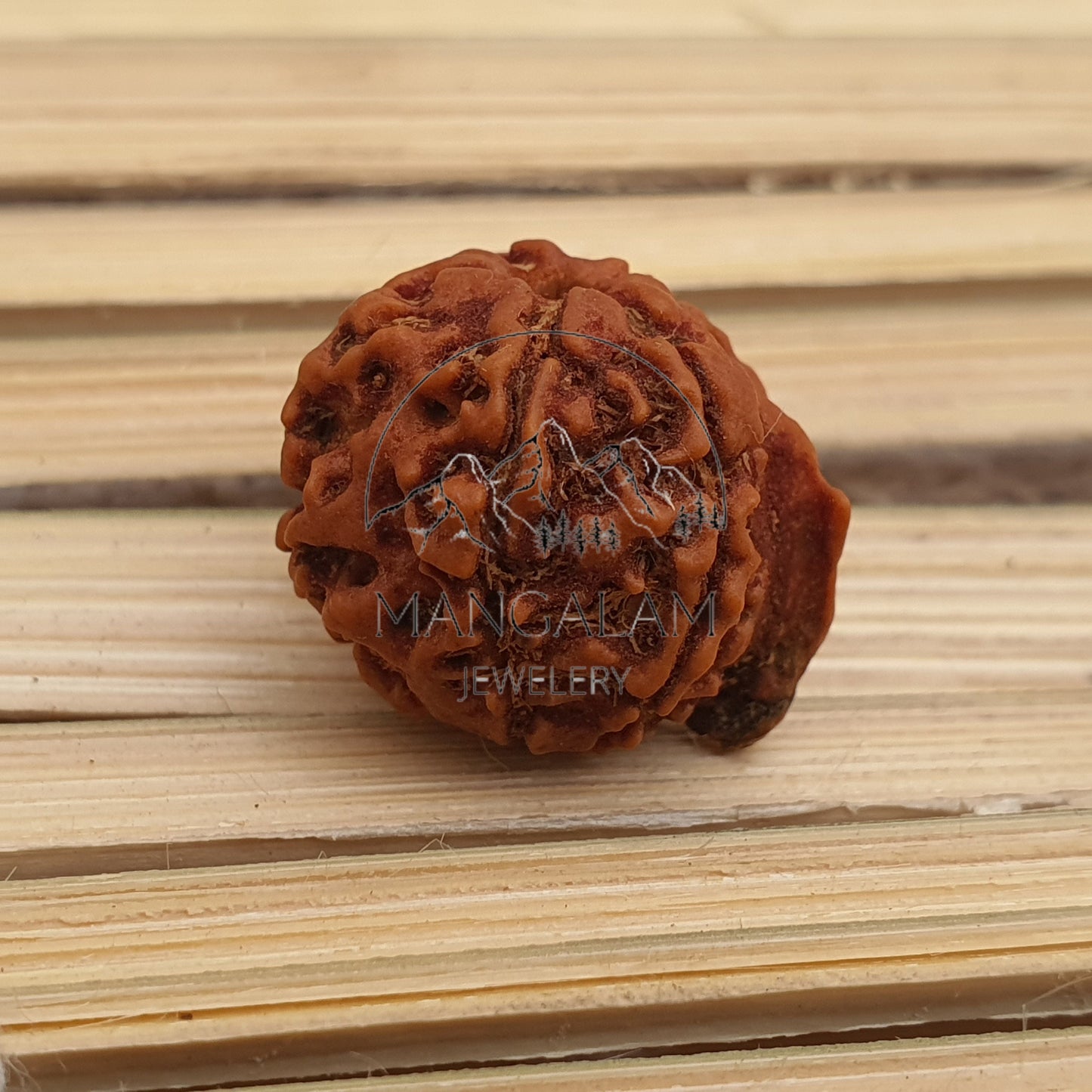 Ganesh Rudraksha • Large Ganesha Rudraksha Bead from Nepal • Five Face Ganesh Rudraksha • Ganesha Nepali Rudraksha Bead