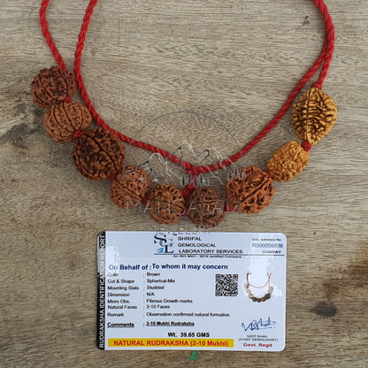 Rudraksha Kantha, Nepali Rudraksha Mala 2 - 10 Mukhi Kantha Spiritual Jewelery, Rudraksha Jewelery