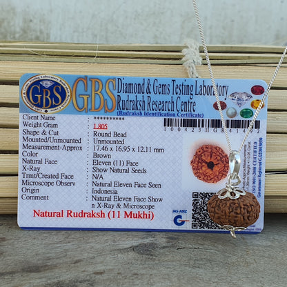 11 Mukhi Indonasian Rudraksha Bead-Lab Certified For Good Luck & Fortune, Gifts For Yoga Lovers, 11 Faced Rudraksha Seed, Handmade Jewelry