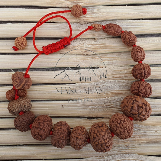 Siddh Bracelet - 1 to 14 Mukhi Rudraksha Beads With Gauri Shankar and Ganesh Rudraksha, Indonesian Beads Lab Certified, Handmade Jewelry