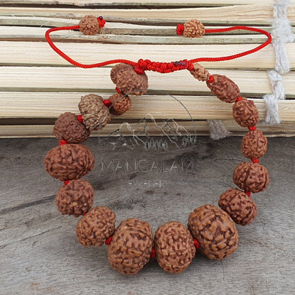 Siddh Bracelet - 1 to 14 Mukhi Rudraksha Beads With Gauri Shankar and Ganesh Rudraksha, Indonesian Beads Lab Certified, Handmade Jewelry