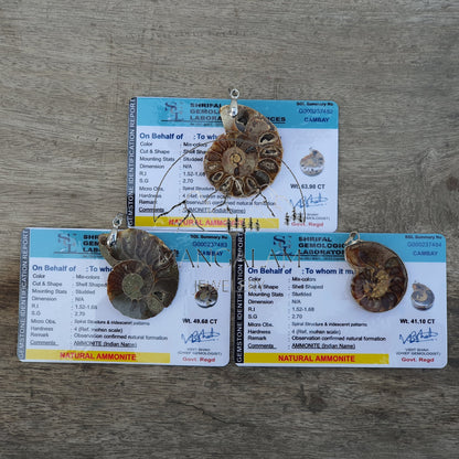 Ammonite Pendent, Certified Ammonite Pendent, Natural Ammonite, Gift For Yoga Lovers