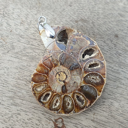 Ammonite Pendent, Certified Ammonite Pendent, Natural Ammonite, Gift For Yoga Lovers