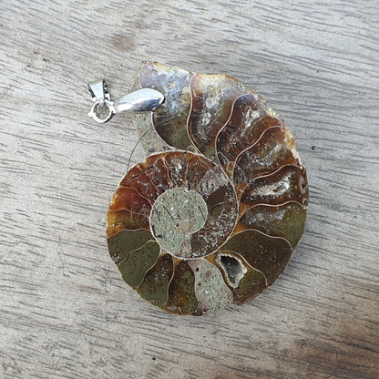 Ammonite Pendent, Certified Ammonite Pendent, Natural Ammonite, Gift For Yoga Lovers
